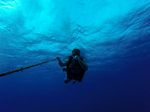 Hawaii Scuba divng 01