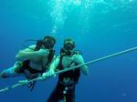 Hawaii Scuba divng 22