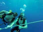 Hawaii Scuba divng 24