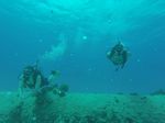 Hawaii Scuba divng 26