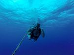 Hawaii Scuba divng 02