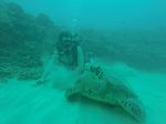 Hawaii Scuba divng 44