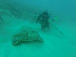 Hawaii Scuba divng 47