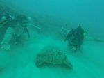 Hawaii Scuba divng 48