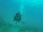 Hawaii Scuba divng 51