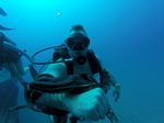 Hawaii Scuba divng 13