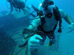 Hawaii Scuba divng 14