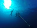 Hawaii Scuba divng 01