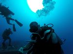 Hawaii Scuba divng 20