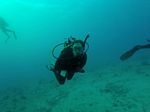 Hawaii Scuba divng 24