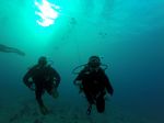Hawaii Scuba divng 29