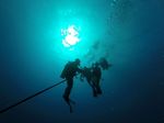 Hawaii Scuba divng 02