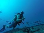 Hawaii Scuba divng 04