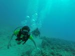 Hawaii Scuba divng 10