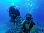 Hawaii Scuba divng 12