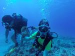 Hawaii Scuba divng 13