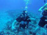 Hawaii Scuba divng 15