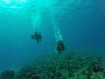 Hawaii Scuba divng 16