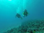 Hawaii Scuba divng 17