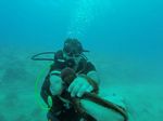 Hawaii Scuba divng 19