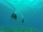 Hawaii Scuba divng 24