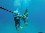 Hawaii Scuba divng 25