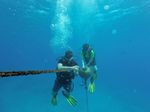 Hawaii Scuba divng 26