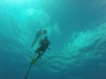 Hawaii Scuba divng 04