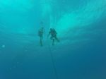 Hawaii Scuba divng 05