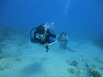 Hawaii scuba 14