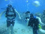 Hawaii scuba 15