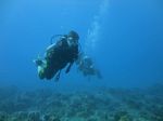 Hawaii scuba 30