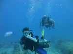 Hawaii scuba 39