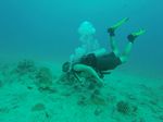 Hawaii Scuba divng 15