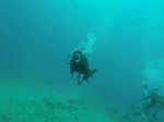 Hawaii Scuba divng 16