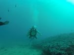 Hawaii Scuba divng 19