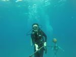 Hawaii Scuba divng 20