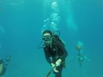 Hawaii Scuba divng 21