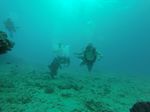 Hawaii Scuba divng 02