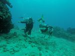 Hawaii Scuba divng 04