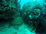 Hawaii Scuba divng 05