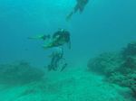 Hawaii Scuba divng 11