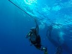 Hawaii Scuba divng 01