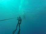 Hawaii Scuba divng 22