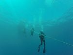 Hawaii Scuba divng 23