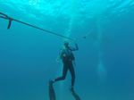 Hawaii Scuba divng 03