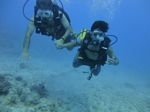 Hawaii Scuba divng 11