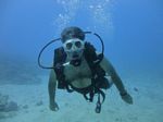 Hawaii Scuba divng 17