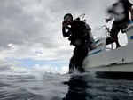 Hawaii Scuba divng 22