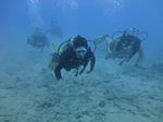 Hawaii Scuba divng 30